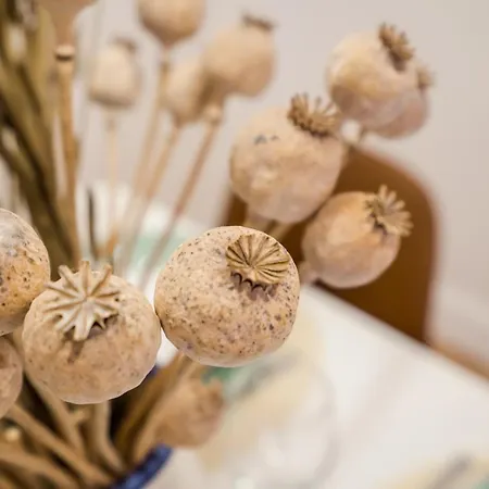 Roomli Boho Chic Lägenhet *