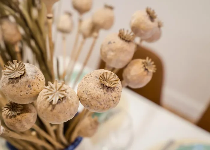 Roomli Boho Chic Appartement *