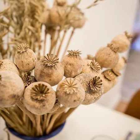 Roomli Boho Chic 公寓