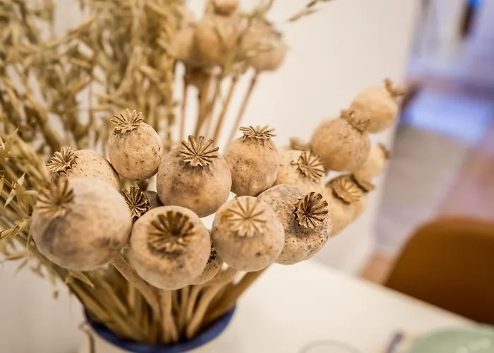 Roomli Boho Chic Lägenhet